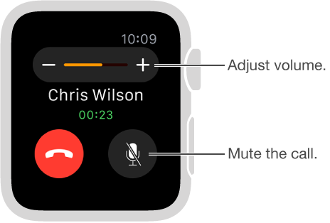 Screen showing an incoming phone call, where you can adjust the volume or mute the call.