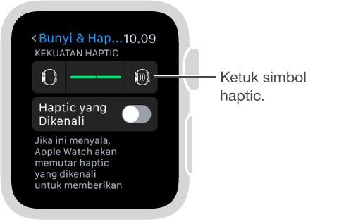 Layar pengaturan Bunyi & Haptic tempat Anda dapat menggulir ke bawah ke Haptic Dering dan Peringatan, lalu mengetuk simbol haptic untuk menambah atau mengurangi intensitas ketukan.