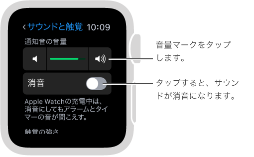 Apple Watch の「サウンドと振動」設定画面。 デジタルクラウンを回すか音量マークをタップして、着信音と通知音の音量を増減します。 「消音」をタップすると、Apple Watch が消音になります。