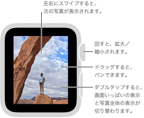 写真を表示しているときは、Digital Crown を回して写真を拡大／縮小したり、ドラッグしてパンしたりできます。さらに、写真をダブルタップすると、写真全体が表示されたり、画面いっぱいに表示されたりします。 左または右にスワイプすると、次の写真が表示されます。