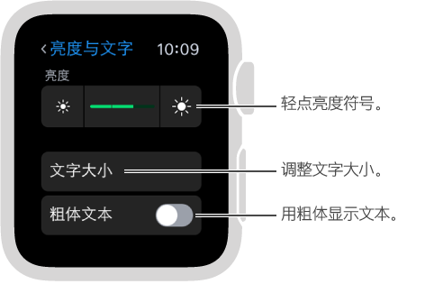 Apple Watch 上的“亮度”设置屏幕，其中包含滑块任一端亮度符号的标注： 轻点亮度符号；“文字大小”标注： 调整文字大小；“粗体文本”标注： 用粗体显示文本。