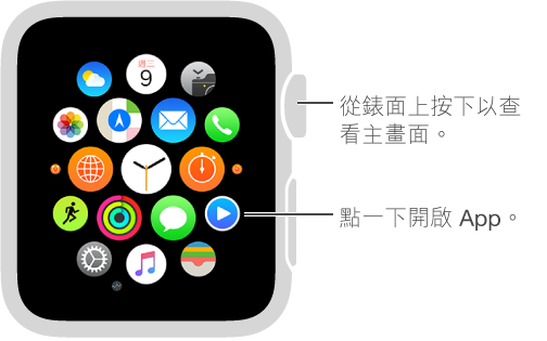 Apple Watch 上的主畫面，你可以在上面點一下 App 即可開啟。 從錶面按下 Digital Crown 以開啟主畫面。