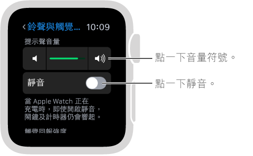 Apple Watch 上的「聲音與觸覺回報」設定畫面。 轉動 Digital Crown 或點一下音量符號以增加或減小鈴聲及提示聲的音量。 點一下「靜音」以讓 Apple Watch 靜音。